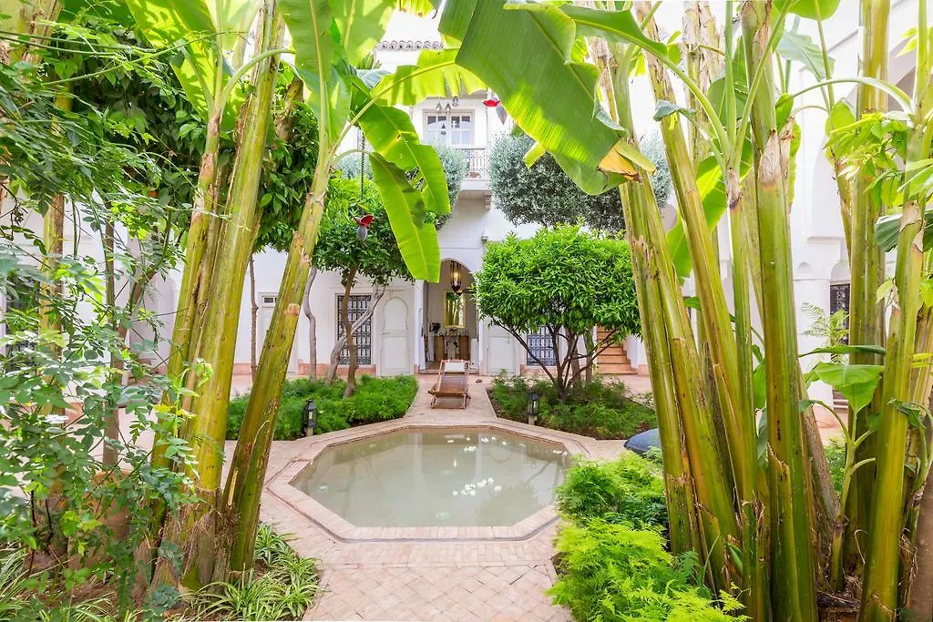 Le Riad Berbere Marrakesh 0*,  Morocco
